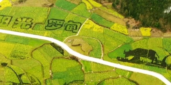 土地的涅槃｜全域土地综合整治为何爆火？设计院如何抢占风口？